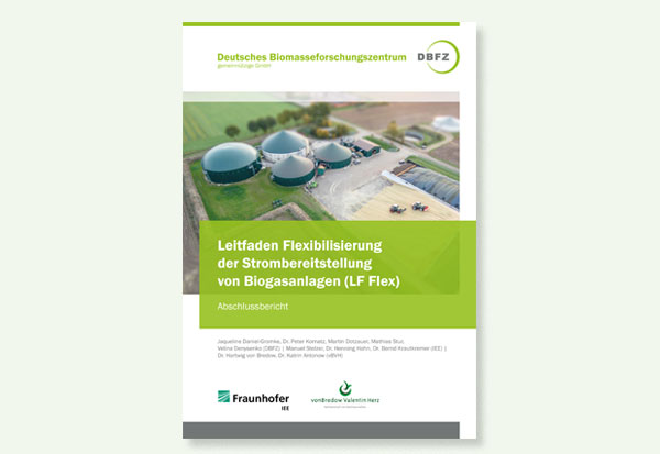Leitfaden Flexibilisierung der Strombereitstellung von Biogasanlagen, Quelle: DBFZ und IEE 2019