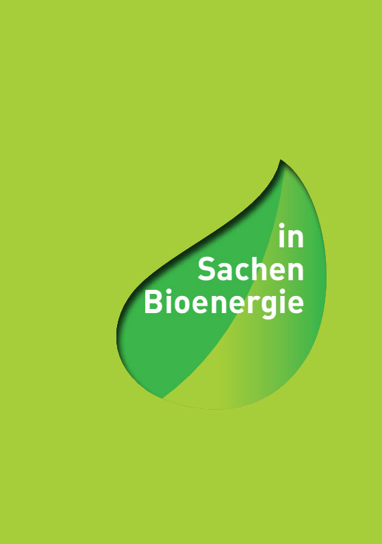 Broschüre Durchblick in Sachen Bioenergie