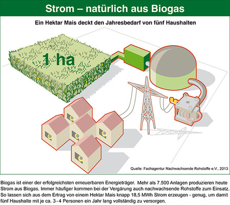 Strom aus Biogas
