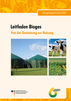 Leitfaden Biogas