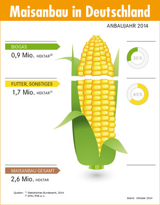 Grafik "Maisanbau in Deutschland"