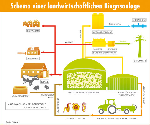 Schema einer landwirtschaftlichen Biogasanlage