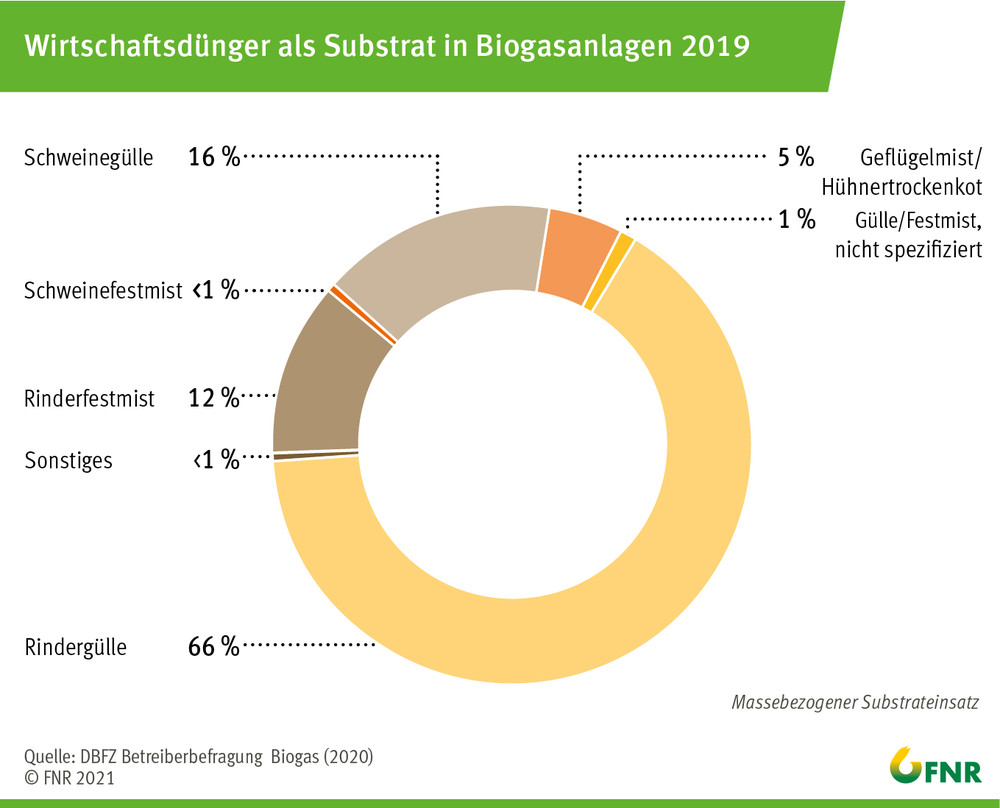Wirtschaftsdünger als Substrat in Biogasanlagen 2019