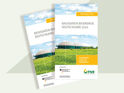 Broschüre „Basisdaten Bioenergie 2024“, Quelle: FNR